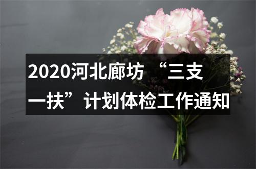 2020河北廊坊 “三支一扶”计划体检工作通知 图片