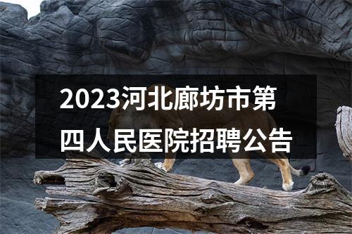 2023河北廊坊市第四人民医院招聘公告 图片