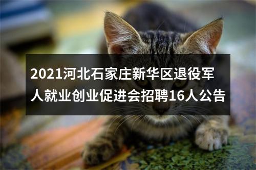 2024中国建设银行总行直属机构校园招聘公告 图片