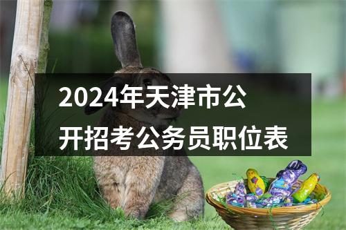 2024年天津市公开招考公务员职位表 图片