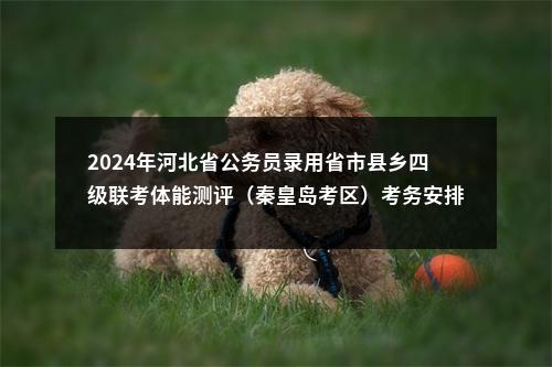 2024年河北省公务员录用省市县乡四级联考体能测评（秦皇岛考区）考务安排 图片