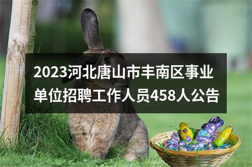 2023河北唐山市丰南区事业单位招聘工作人员458人公告 图片