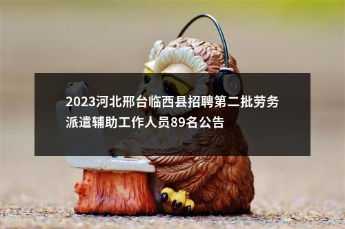 2023河北邢台临西县招聘第二批劳务派遣辅助工作人员89名公告 图片