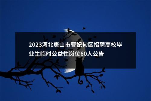 2023河北唐山市曹妃甸区招聘高校毕业生临时公益性岗位60人公告 图片
