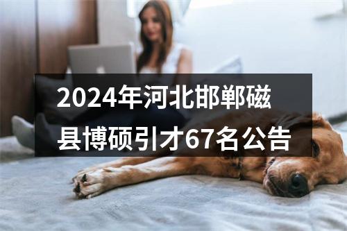 2024年河北邯郸磁县博硕引才67名公告 图片