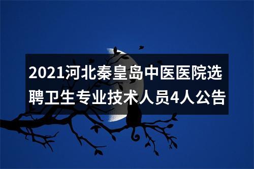 2021河北秦皇岛中医医院选聘卫生专业技术人员4人公告 图片